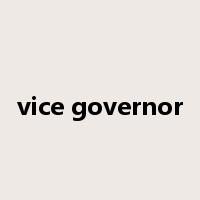 vice governor是什么意思