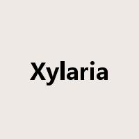 Xylaria是什么意思