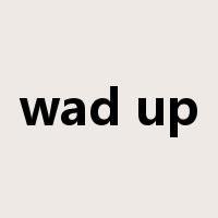 wad up是什么意思