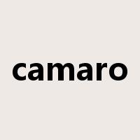 camaro是什么意思