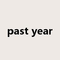 past year是什么意思