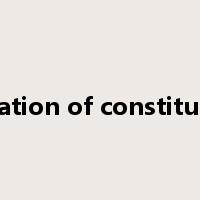 violation of constitution是什么意思