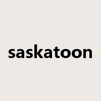 saskatoon是什么意思