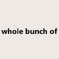 whole bunch of是什么意思