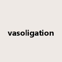 vasoligation是什么意思