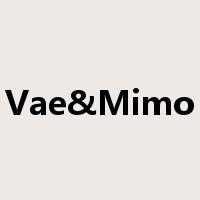 Vae&Mimo是什么意思