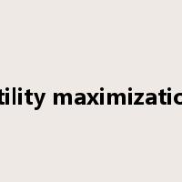 utility maximization是什么意思