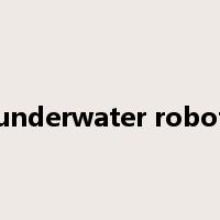 underwater robot是什么意思
