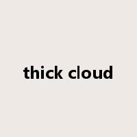 thick cloud是什么意思