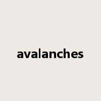 avalanches是什么意思