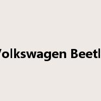 Volkswagen Beetle是什么意思
