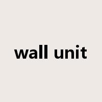 wall unit是什么意思