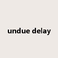 undue delay是什么意思