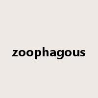 zoophagous是什么意思