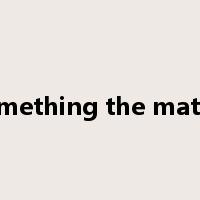 something the matter是什么意思