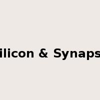 Silicon & Synapse是什么意思