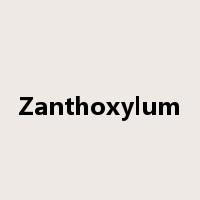 Zanthoxylum是什么意思