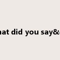 What did you say&qst是什么意思