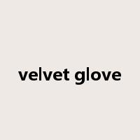 velvet glove是什么意思