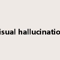 visual hallucination是什么意思