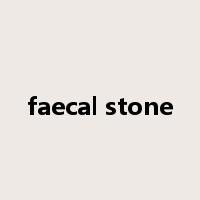 faecal stone是什么意思