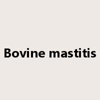Bovine mastitis是什么意思