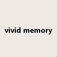 vivid memory是什么意思