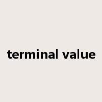 terminal value是什么意思