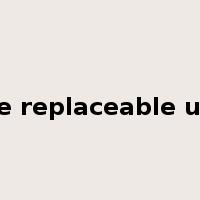line replaceable unit是什么意思