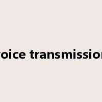 voice transmission是什么意思