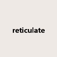 reticulate是什么意思
