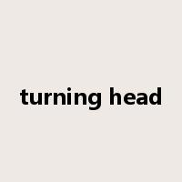 turning head是什么意思