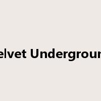 Velvet Underground是什么意思