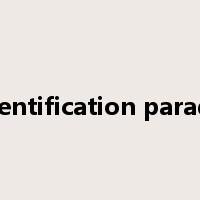 identification parade是什么意思