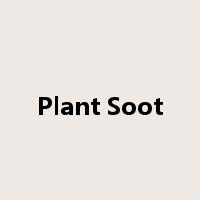 Plant Soot是什么意思