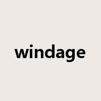 windage是什么意思