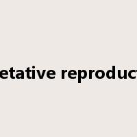 vegetative reproduction是什么意思