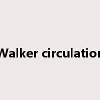 Walker circulation是什么意思
