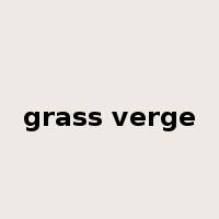 grass verge是什么意思