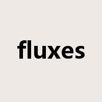 fluxes是什么意思
