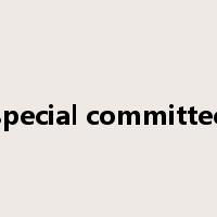special committee是什么意思