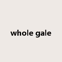 whole gale是什么意思