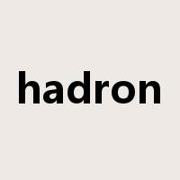 hadron是什么意思