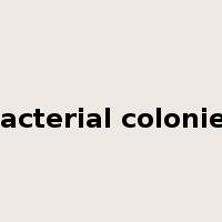 bacterial colonies是什么意思