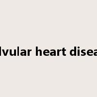 valvular heart disease是什么意思