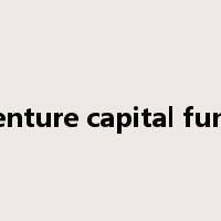 venture capital fund是什么意思