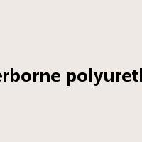 waterborne polyurethane是什么意思