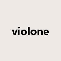 violone是什么意思