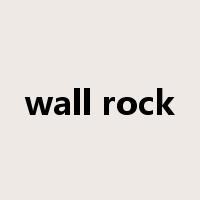 wall rock是什么意思