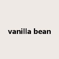 vanilla bean是什么意思